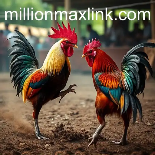 Understanding Sabong Games: A Dive into the World of MILLIONMAX